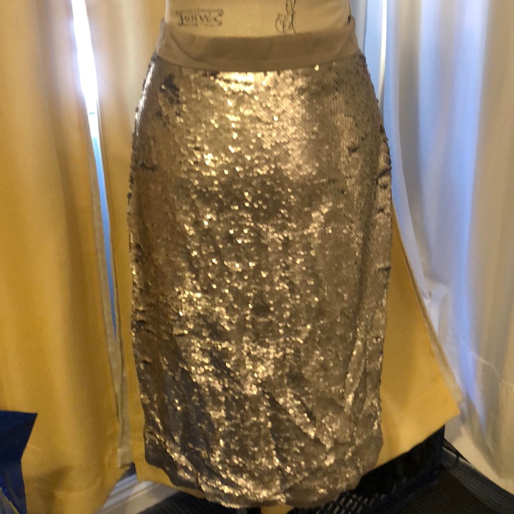 Sequence Skirt